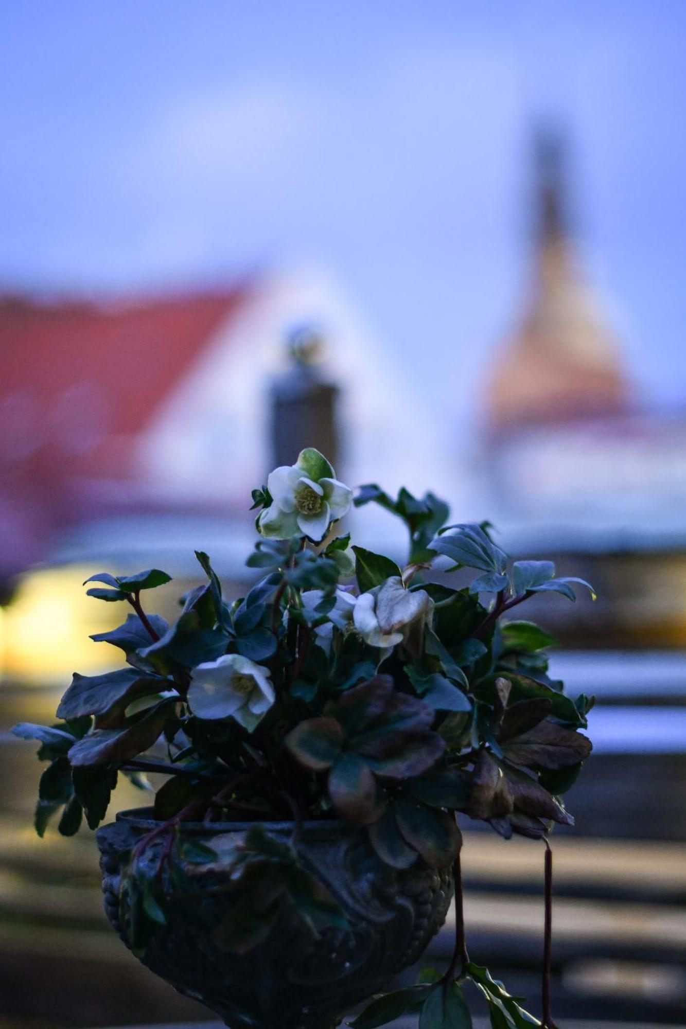 Prins Carl Ystad Exterior foto